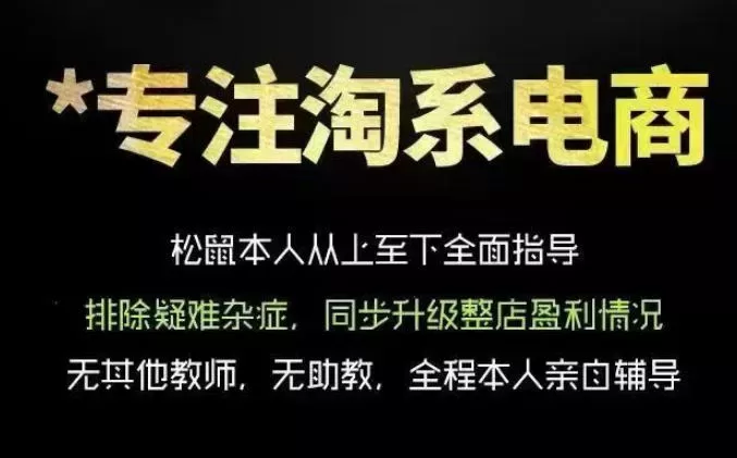 松鼠会电商VIP课程，从基础布局到高阶优化，助你掌握淘宝运营逻辑，提升店铺流量与转化(更新1022)-入巷拾玖
